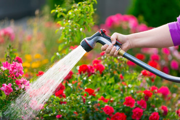 Watering flowers using hose