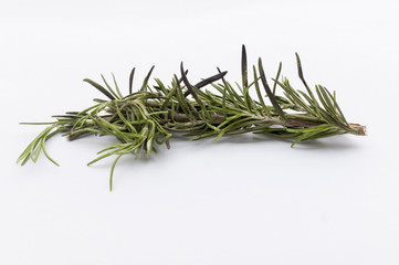 Rosmarino, spezia, erba aromatica