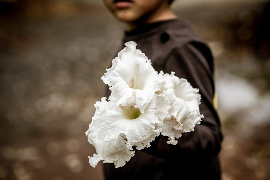An asian little boy holding bunch of flowers, HDR