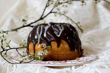 Tasty cake and blossoming twig
