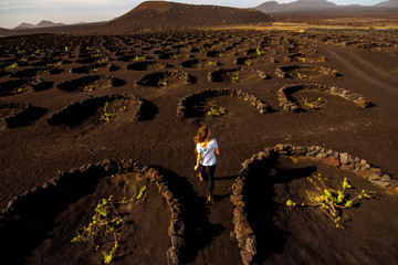 Beautiful volcanic vineyard with woman running and enjoying nature on Lanzarote island in Spain