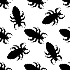 Seamless pattern with head human louse. Pediculus humanus capitis .    hand-drawn head human louse . Vector