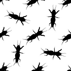 Seamless pattern with European mole cricket.  Gryllotalpidae.  hand-drawn  mole cricket . Vector