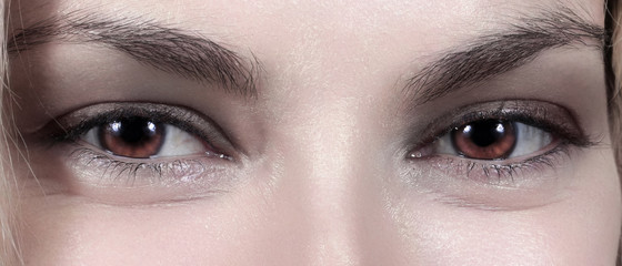 Naklejka premium le beau regard