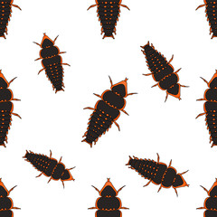 Seamless pattern with Trilobite beetle Duliticola Platerodrilus. hand-drawn Trilobite beetle. . Vector 