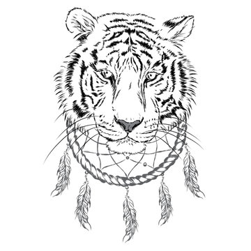 Tiger and Dreamcatcher. Vector illustration.
