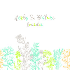 Medicinal herbs boarder