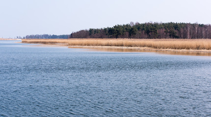 Reserve bird`s paradise in north of Poland.