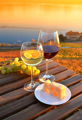 Wine and grapes against vineyards in Lavaux, Switzerland