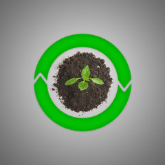 Top view of sprout growing on the ground and surrounded by green rotating round arrows