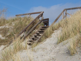 Fototapeta premium Strand von Foehr, Dünenübergang