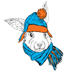 Cute rabbit in the hat and scarf. Rabbit vector.