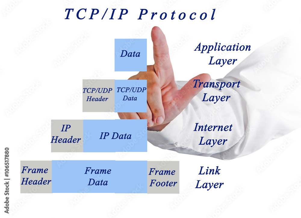 Wall mural diagram of tc/ip protocol