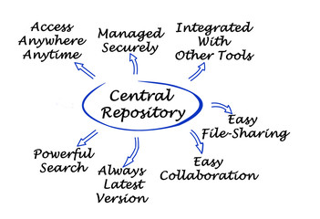 Diagram of central repository