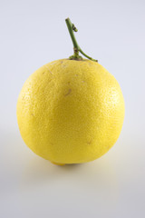 Limone