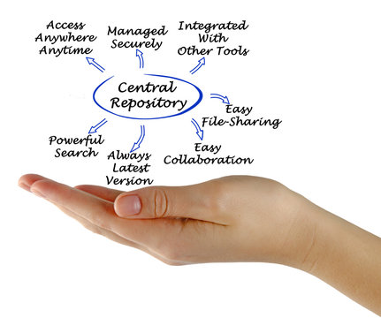 Diagram Of Central Repository