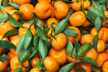Fresh mandarin background. Orange fruit.