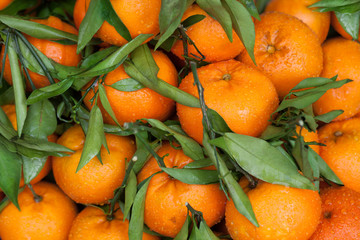 Fresh mandarin oranges fruit. Background.
