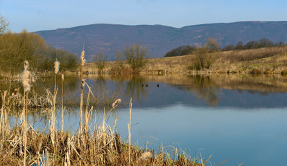 Pond on hill