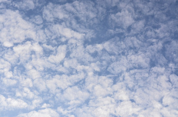 небо с белыми, нежными облаками