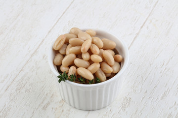 White canned kidney