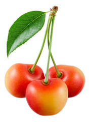 Cherry. Three yellow berries isolated on white.