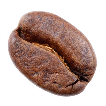 Coffee bean isolated on white.