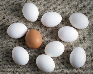 white and brown eggs in the center