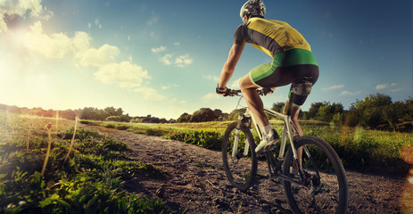 Naklejka na ściany i meble Sport. Mountain Bike cyclist riding single track