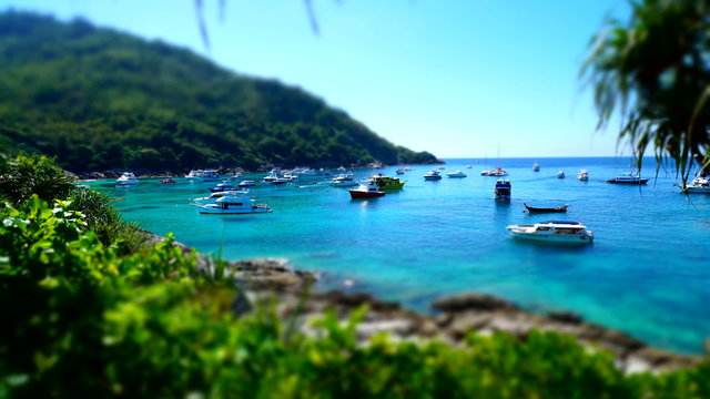 Yachts, speed boats moored in a marine lagoon. Time lapse. Miniature