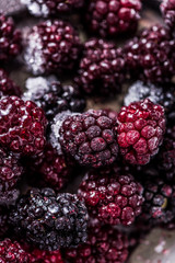 Frozen summer forest wild  blackberries, full frame background