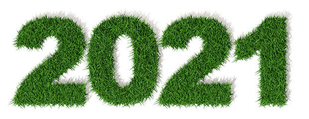 2021 anno 3d, prato erba verde, duemilaventuno, Buon Anno Felice