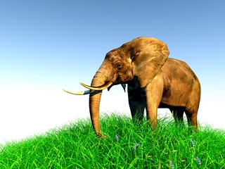 Fototapeta na wymiar 3d elephant in nature