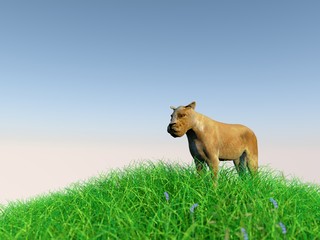 3d animal in the medow