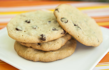 Plate of Chocolate Chip Cookies