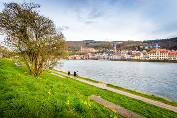 Obraz premium Heidelberg