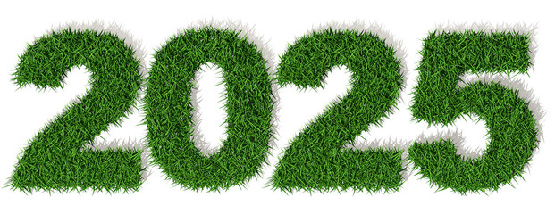 2025 anno 3d, prato erba verde, duemilaventicinque, Buon Anno Felice - obrazy, fototapety, plakaty