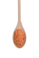 Red Lentils