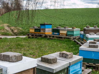 Bienenkästen im Herbst