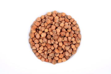 soybean