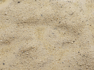 Sand Texture