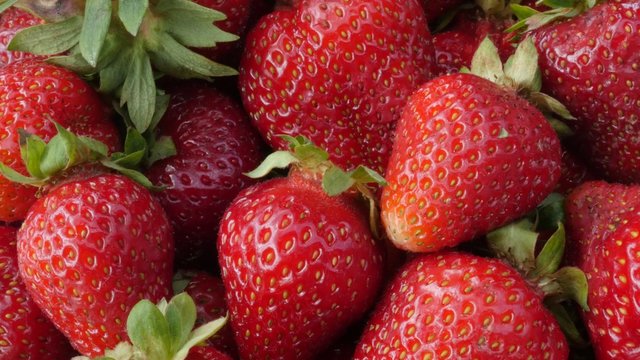 Fragaria ananassa arranged as tasty red background 4K 2160p UltraHD tilt footage - The garden strawberries fresh tasty fruit tilting 4K 3840X2160 UHD video 