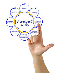 Diagram of Assets at Risk