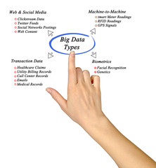 diagram of Big Data type