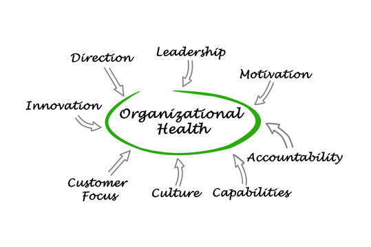 Diagram Of Organizational Health