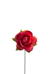 rose paper isolate on white background