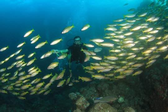 Scuba diving on coral reef with fish