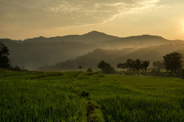 the beauty of the mountain paddy and ray of light