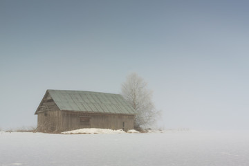 Barn In The Morning Mist