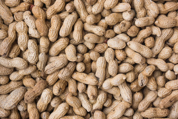 groundnut background